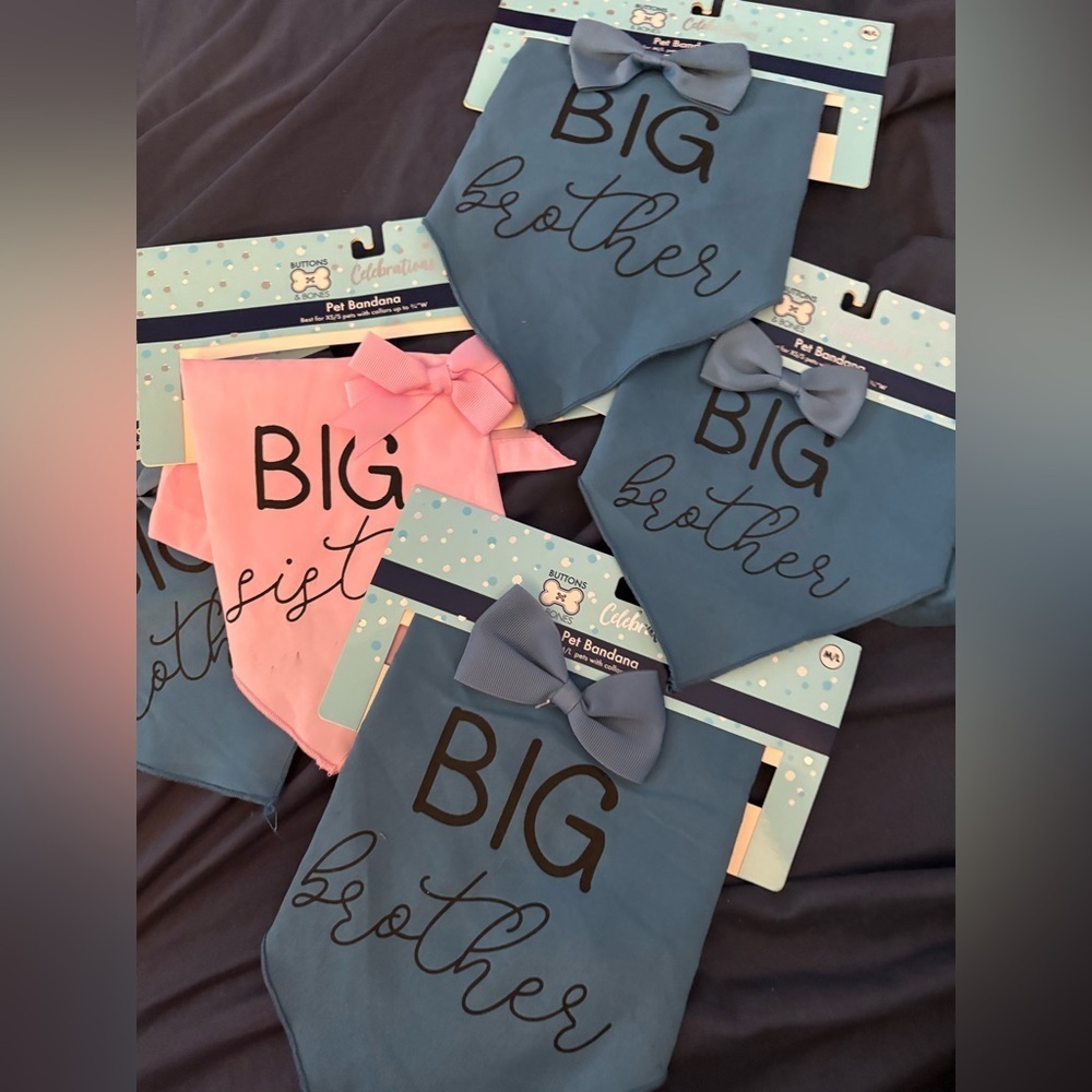 Dog-Cat New Baby
Big Brother- Big Sister 
Welcome home PET bandanna